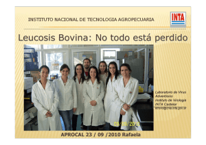 Leucosis Bovina: No todo est á perdido