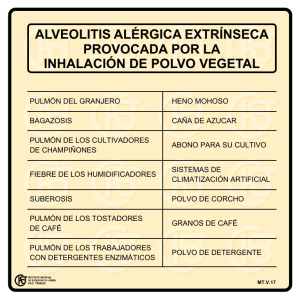 Nueva ventana:Alveolitis alérgica extrínseca provocada por la inhalación de P.V. (pdf, 23 Kbytes)