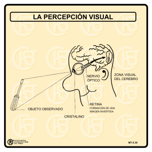 Nueva ventana:La percepción visual (pdf, 28 Kbytes)