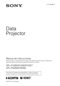 Data Projector Manual de instrucciones