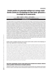 Estudio_genetico_paternidad_multiple_Caretta.pdf