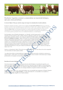 Argentina comenzó a comercializar un insecticida biológico, apto para zonas periurbanas (Rizobacter)