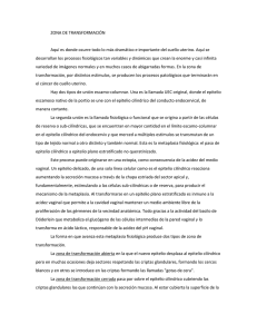 ZONA DE TRANSFORMACION.pdf