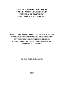 COLOMAluis.pdf