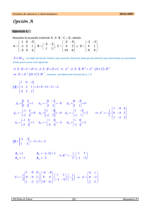 Examen de matrices y determinantes. Curso 2008/09