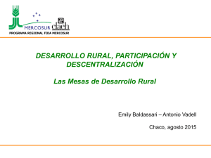 Desarrollo rural, participación y descentralización. Las Mesas de Desarrollo Rural.
