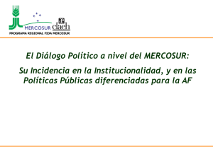 El Diálogo Político a nivel del MERCOSUR: Su Incidencia en la Institucionalidad, y en las Políticas Públicas diferenciadas para la AF