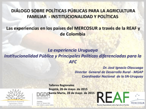 DIÁLOGO SOBRE POLÍTICAS PÚBLICAS PARA LA AGRICULTURA FAMILIAR - INSTITUCIONALIDAD Y POLÍTICAS. Las experiencias en los países del MERCOSUR a través de la REAF y de Colombia.