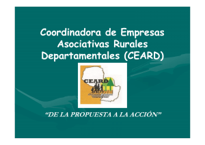 Coordinadora de Empresas Asociativas Rurales Departamentales (CEARD): “DE LA PROPUESTA A LA ACCIÓN”. Feb. de 2013.
