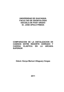 ULLAGUARYkenya.pdf