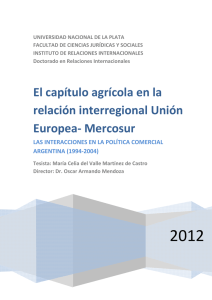 Nº 5: EL CAPÍTULO AGRÍCOLA EN LA RELACIÓN INTERREGIONAL UNIÓN EUROPEA- MERCOSUR. LAS INTERACCIONES EN LA POLÍTICA COMERCIAL ARGENTINA (1994-2004)