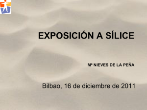 "Exposici n a s lice" (pdf, 138 KB)