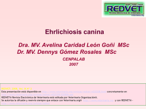Ehrlichiosis canina Dra. MV. Avelina Caridad León Goñi  MSc CENPALAB