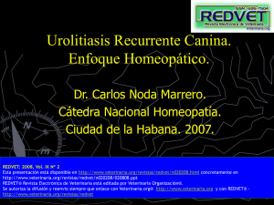 Urolitiasis Recurrente Canina. Enfoque Homeopático. Dr. Carlos Noda Marrero. Cátedra Nacional Homeopatía.