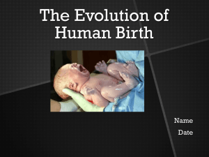 The Evolution of Human Birth