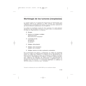 Morfología de los tumores [neoplasias]