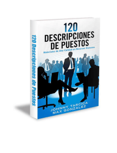 120 Descripciones de puestos