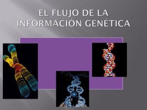 flujo de información genética