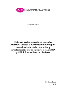 Histonas variantes en invertebrados marinos: puesta a punto de