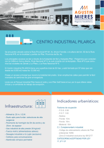 CENTRO INDUSTRIAL PILARICA Infraestructura: