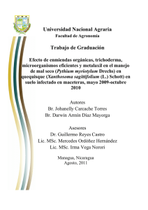 Tesis final - cenida - Universidad Nacional Agraria