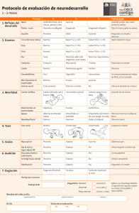 Protocolo de Evaluacion de Neurodesarrollo