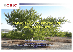 CAPACITY OF CO FIXATION OF MURCIAN CROPS