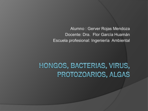 semana 10: hongos, bacterias, virus, protozoarios, algas.