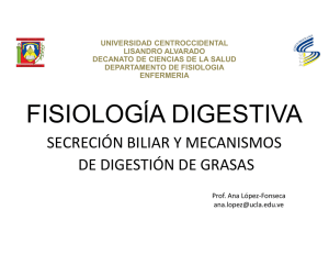 FISIOLOGĺA DIGESTIVA - Universidad Centroccidental "Lisandro
