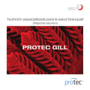 Protec Gill Handbook.indd