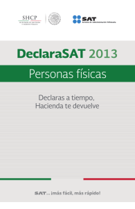 DeclaraSAT 2013. Personas físicas