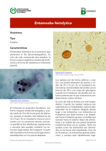 Entamoeba histolytica - Año 2016 (pdf, 302 Kbytes)