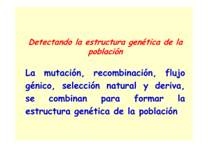 La mutación, recombinación, flujo génico, selección natural y deriva
