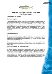 SARDINA ESPAÑOLA XV, I y II REGIONES (Sardinops