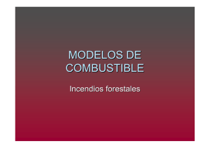 MODELOS DE COMBUSTIBLE