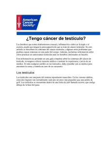 ¿Tengo cáncer de testículo?