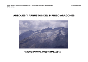 árboles y arbustos del pirineo aragonés