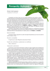 Pimiento italiano - FEN. Fundación Española de la Nutrición