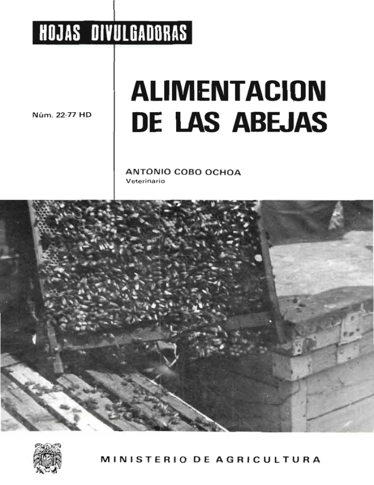 Ministerio De Agricultura Alimentaci N Y Medio Ambiente