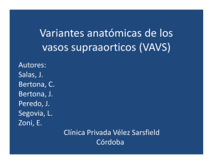 Variantes anatómicas de los vasos supraaorticos (VAVS)