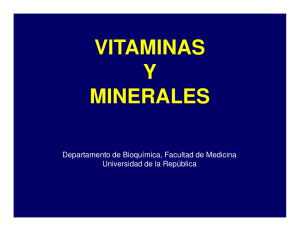 vitaminas y minerales - Facultad de Medicina