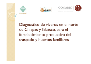 Diagnóstico de viveros en el norte de Chiapas y
