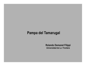 Pampa del Tamarugal - Praderas y Pasturas