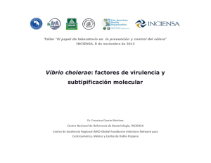 20131108 Factores de virulencia de V. cholerae - F. Duarte