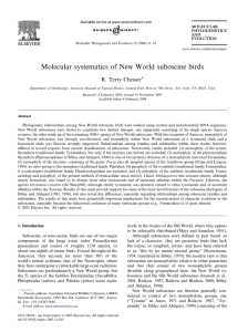 Molecular systematics of New World suboscine birds