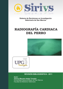 Radiografía cardíaca del perro - Facultad de Medicina Veterinaria