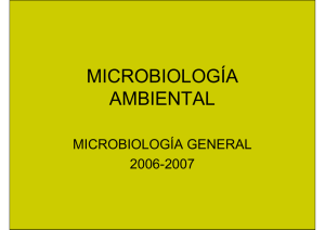 MICROBIOLOGÍA AMBIENTAL