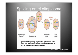 Splicing en el citoplasma