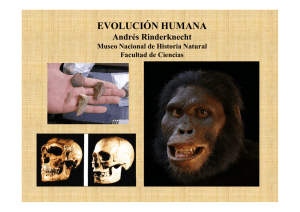 Primates 2. MU - Departamento de Evolución de Cuencas