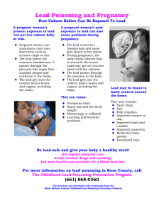 Lead Poisoning and Pregnancy - Kern County Department Of Public